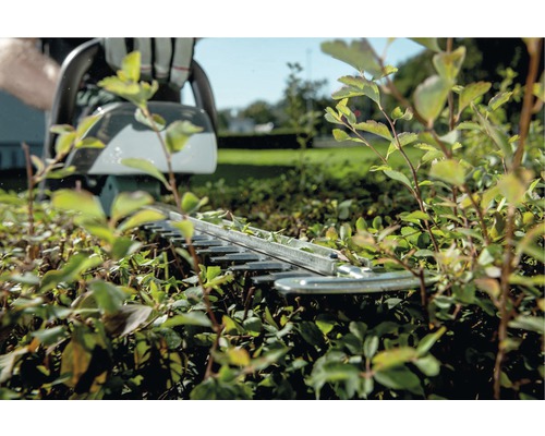 Taille-haie en cours d''utilisation pour tailler une haie