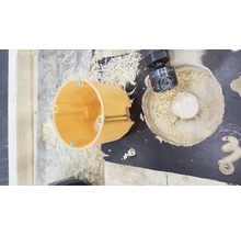 Installationsdose neben einer mit einer Oberfräse bearbeiteten Holzplatte