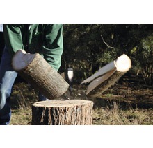 Fendeur de bûches en action : une bûche est fendue avec une hache sur un billot.