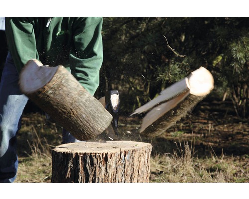 Fendeur de bûches en action : une bûche est fendue avec une hache sur un billot.