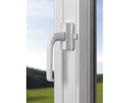 Fenêtre avec poignée de fenêtre