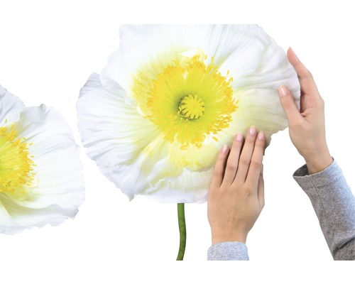 Gros plan sur des stickers muraux coquelicots avec des mains