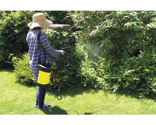 Frau verwendet Gartenspritze zur Pflanzenpflege