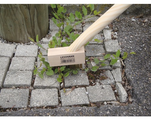 Lessmann Handfeger mit Holzstiel und Holzblock