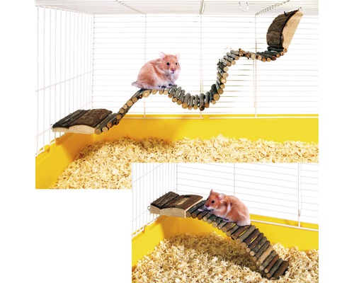 Hamster im Käfig mit Holzleiter