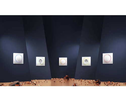 Fünf Lichtschalter und Steckdosen mit farbiger Umrandung an einer Wand