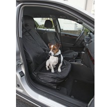 Hund sitzt auf einem Autositzbezug im Fahrzeuginnenraum