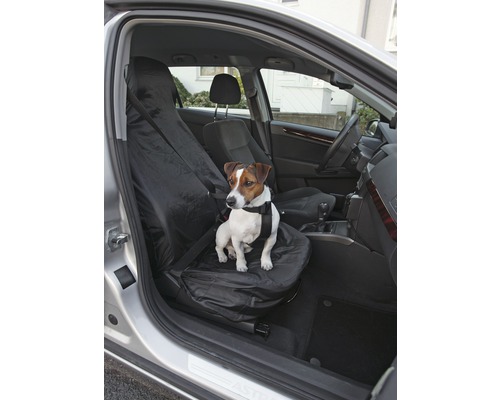 Chien assis sur une housse de siège auto à l''intérieur du véhicule