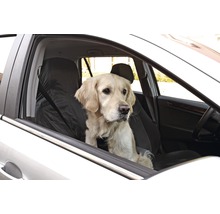 Golden Retriever im Auto mit Sitzbezug