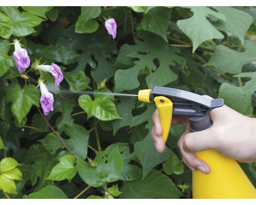 Une personne vaporise des plantes avec un vaporisateur