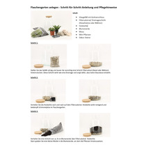 Anleitung zum Anlegen eines Flaschengartens mit Glasgefäß, Korkverschluss, Filtersubstrat, Holzkohle, Blumenerde, Moos, Mini Pflanzen und Dekorsteinen.