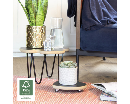 Intérieur décoratif avec plantes d''intérieur sur des tables d''appoint et des supports à roulettes pour plantes dans le salon.