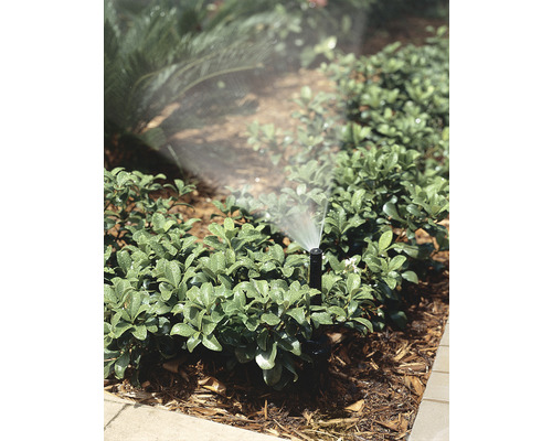 Rasensprenger bewässert Gartenpflanzen