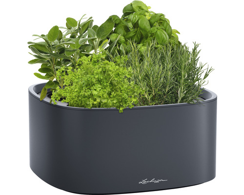 Kräutergarten in einem Lechuza Pflanzgefäß mit verschiedenen Kräutern wie Salbei, Petersilie, Basilikum und Rosmarin.
