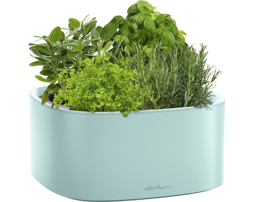 Jardin d''herbes aromatiques avec basilic, romarin, persil et sauge dans un pot de fleurs de la marque Lechuza