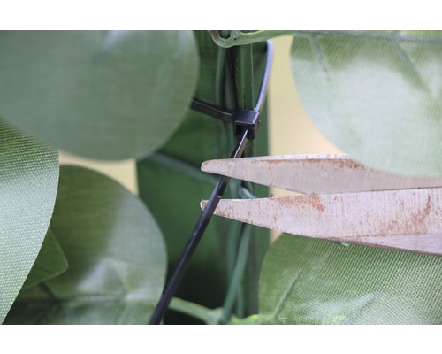 Des ciseaux coupent un collier de serrage sur une plante artificielle.