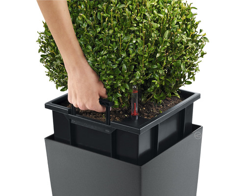 Person gießt Pflanze in einem Pflanzgefäß mit Bewässerungssystem