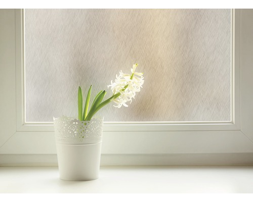 Dekorfolie am Fenster mit Hyazinthe im Topf