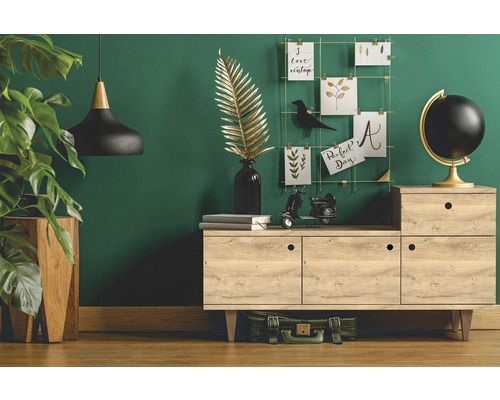 Wohnzimmer mit Kommode, Zimmerpflanze, Lampe und Dekoration