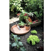 Gemüsegarten mit Salat, Radieschen, Karotten, Beettray, Pflanzkelle und Pflanztopf