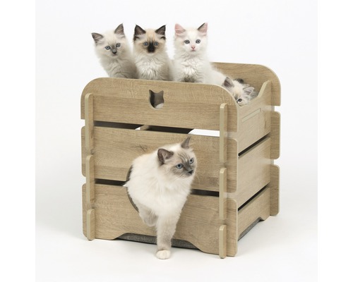 Maison pour chats en bois avec plusieurs chats Ragdoll