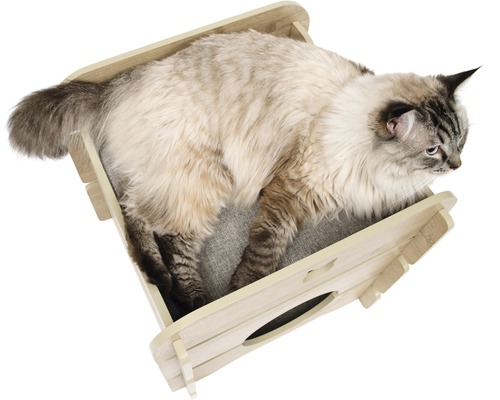 Chat couché dans une maison pour chat en bois avec entrée