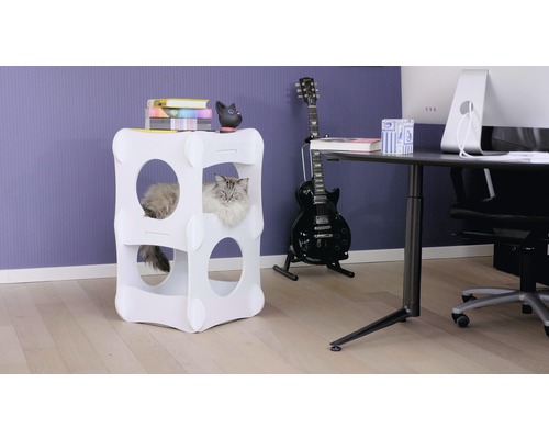 Chat dans une maison à chat blanche à plusieurs étages