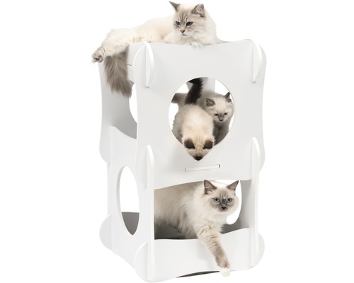 Arbre à chat avec plusieurs niveaux et chats