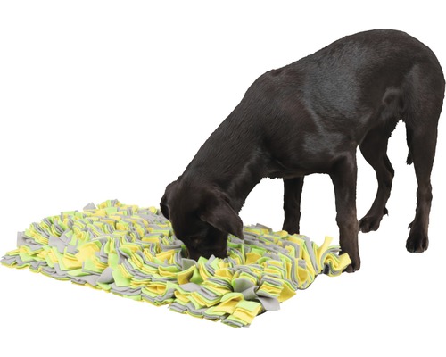 Un chien marron cherche de la nourriture sur un tapis de fouille interactif.