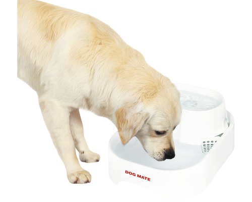 Un chien boit dans une fontaine à eau de la marque Dog Mate.