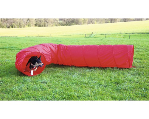 Hund läuft durch einen roten Agility-Tunnel im Garten