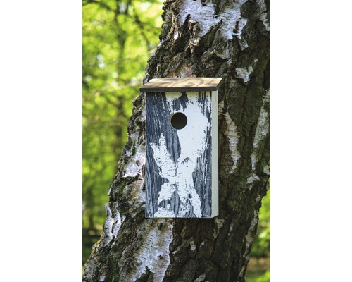 Nichoir sur un tronc d''arbre avec un trou d''envol