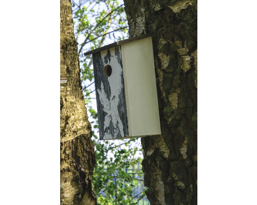 Nichoir en bois avec trou d''envol sur un arbre