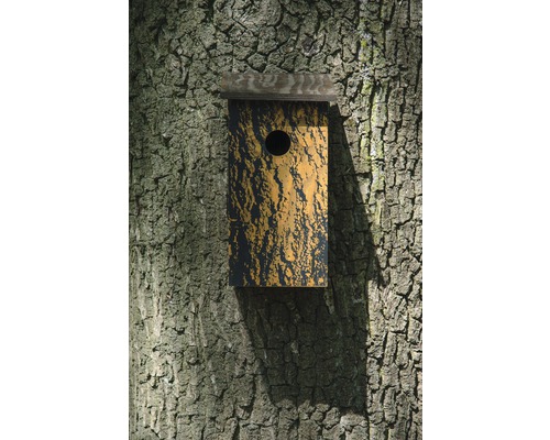 Un nichoir est accroché à un arbre