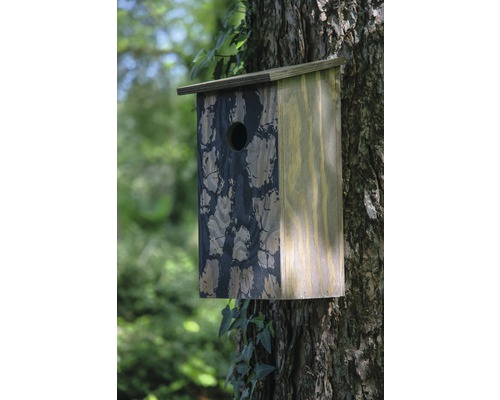 Nichoir en bois fixé sur un arbre