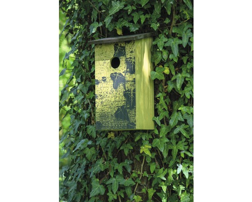 Nichoir avec trou d''envol rond sur un arbre