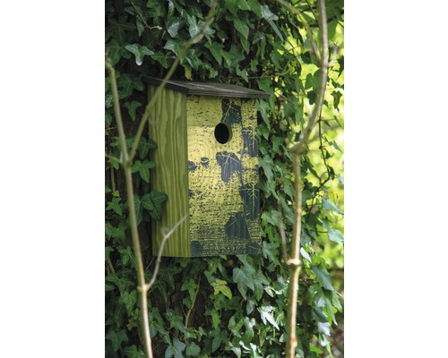 Nichoir sur un arbre avec du lierre