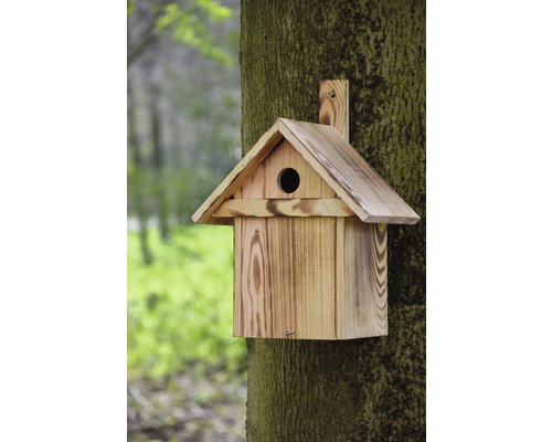 Nichoir en bois avec trou d''entrée rond fixé à un arbre