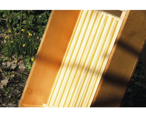 Ruche avec cadre en cire pour la production de miel