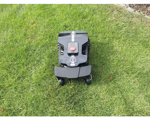 Robot tondeuse sur pelouse