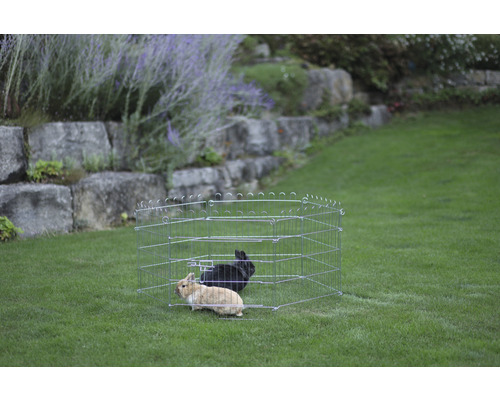 Kleintierfreilaufgehege mit zwei Kaninchen auf einer Rasenfläche