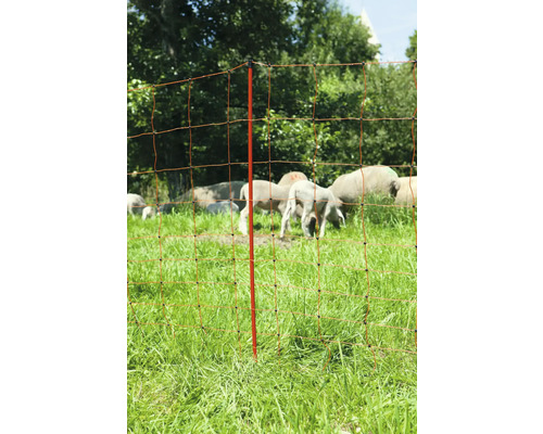 Clôture de pâturage électrique avec moutons dans un pâturage