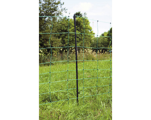 Gros plan d''une clôture de prairie avec des piquets dans un pré.