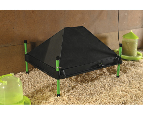 Schwarze Wärmeplatte für Küken mit grünen Standbeinen