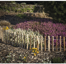 Bordure de jardin, bordure de parterre mini rouleau noisette 200 x 28 cm naturel