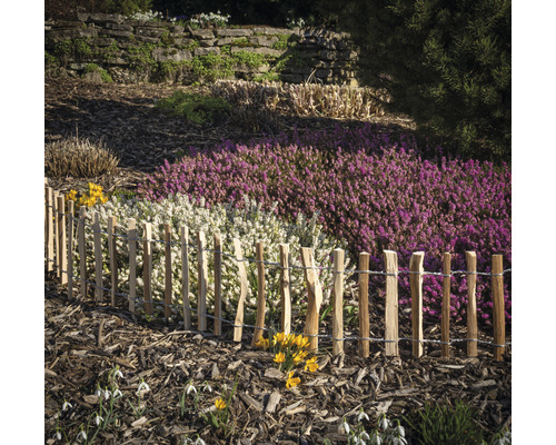 Jardin avec clôture en bois, bruyère et couvre-sol