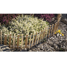 Bordure de jardin, bordure de parterre mini rouleau noisette 200 x 28 cm naturel