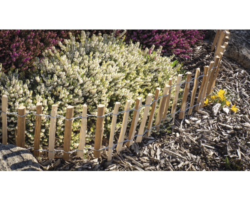Bordure de parterre en bois avec plantes