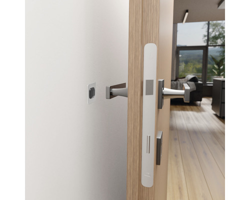 Porte avec poignée de porte et gâche dans un espace de vie.