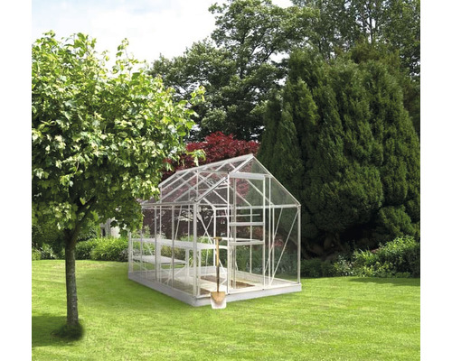Serre dans le jardin avec des arbres